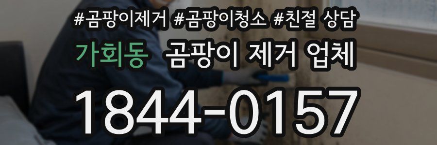 가회동 곰팡이 제거 업체
