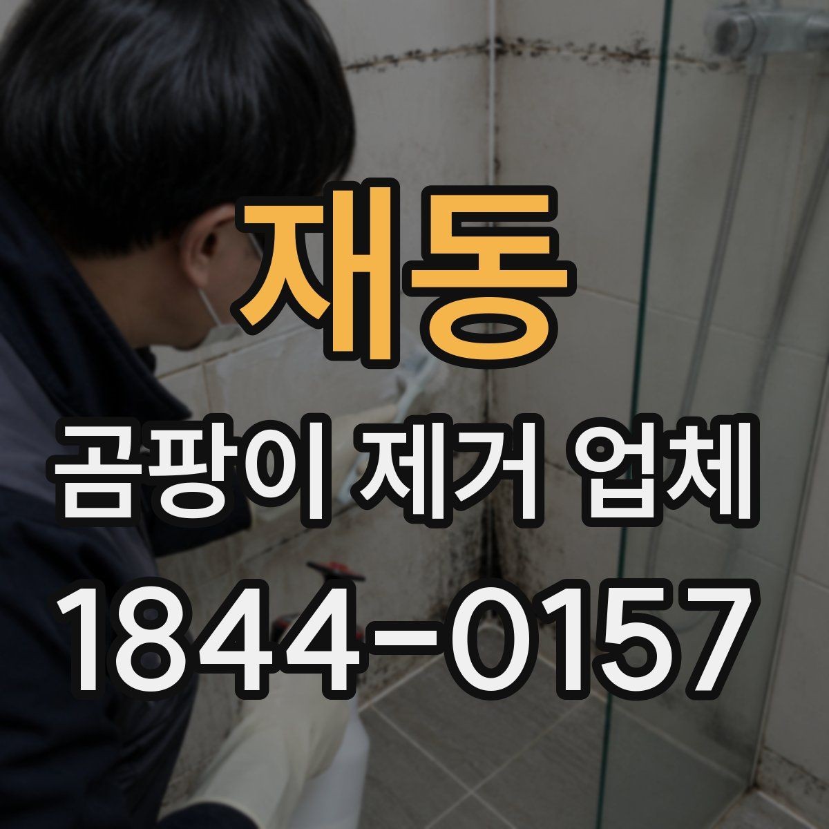 재동 곰팡이 제거 업체 이용 전 알아두는 주의점