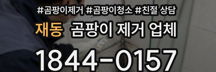 재동 곰팡이 제거 업체