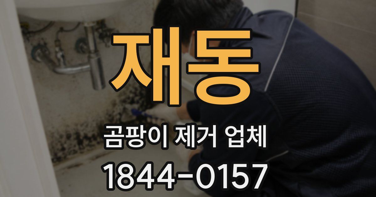 재동 곰팡이 제거 업체