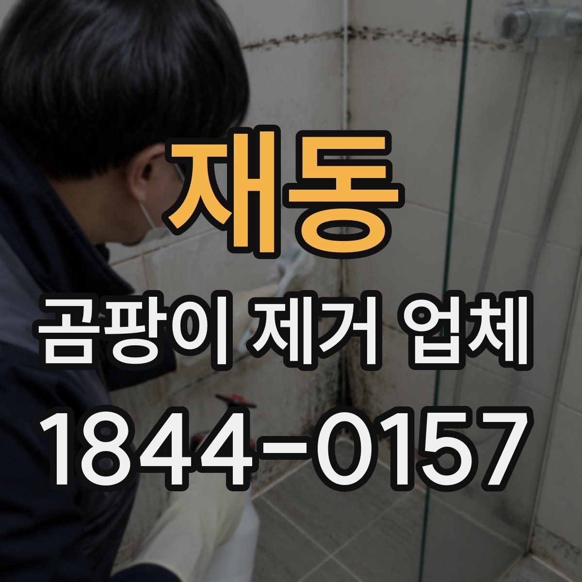 재동 곰팡이 제거 업체
