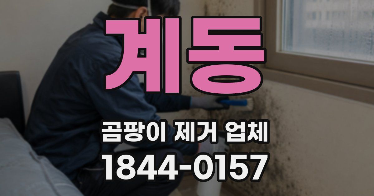 계동 곰팡이 제거 업체
