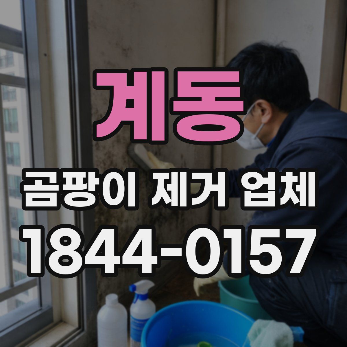 계동 곰팡이 제거 업체