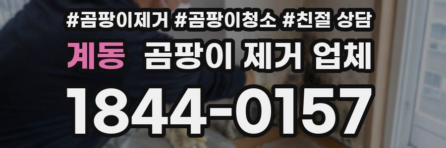 계동 곰팡이 제거 업체