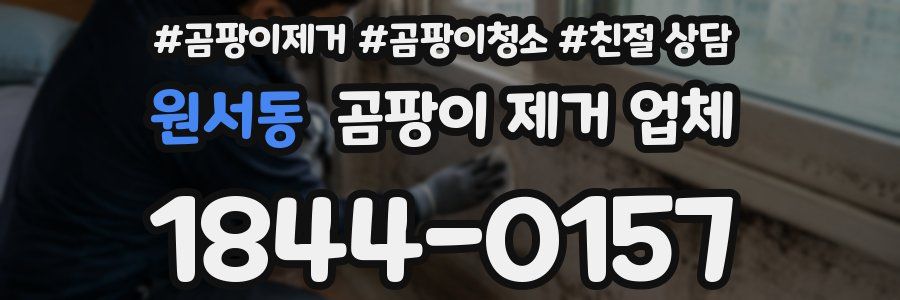 원서동 곰팡이 제거 업체