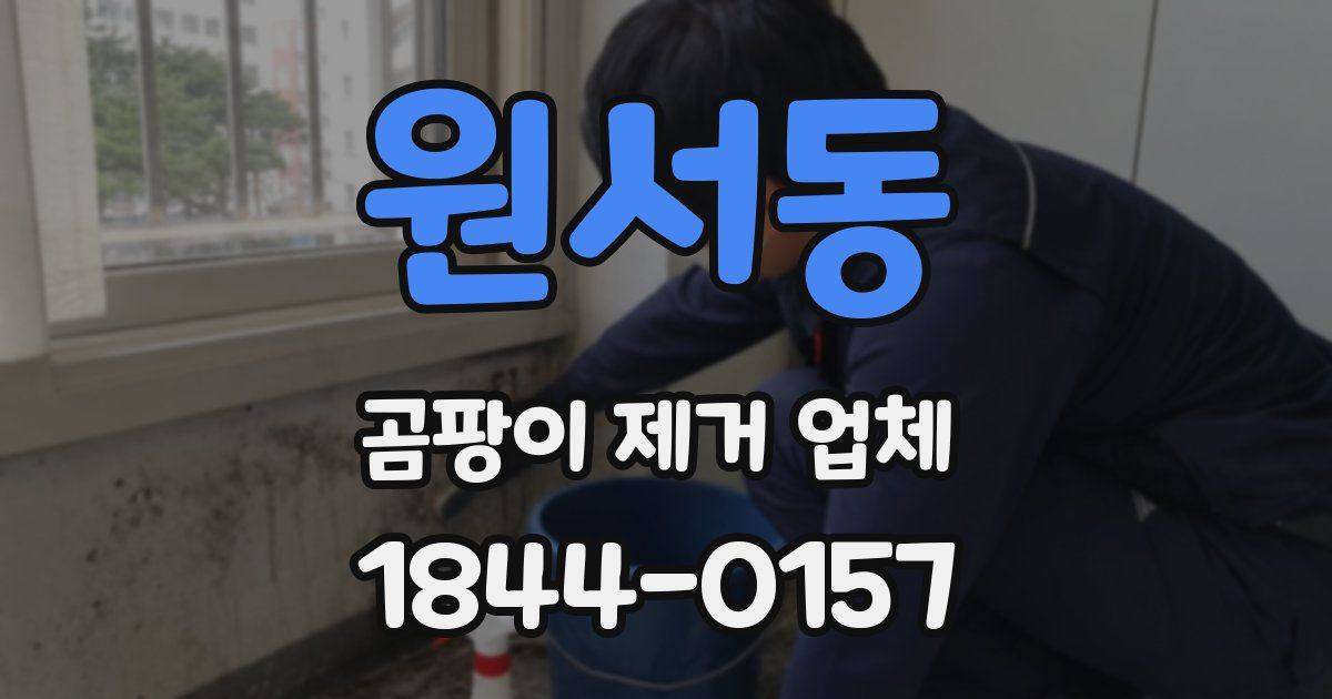 원서동 곰팡이 제거 업체