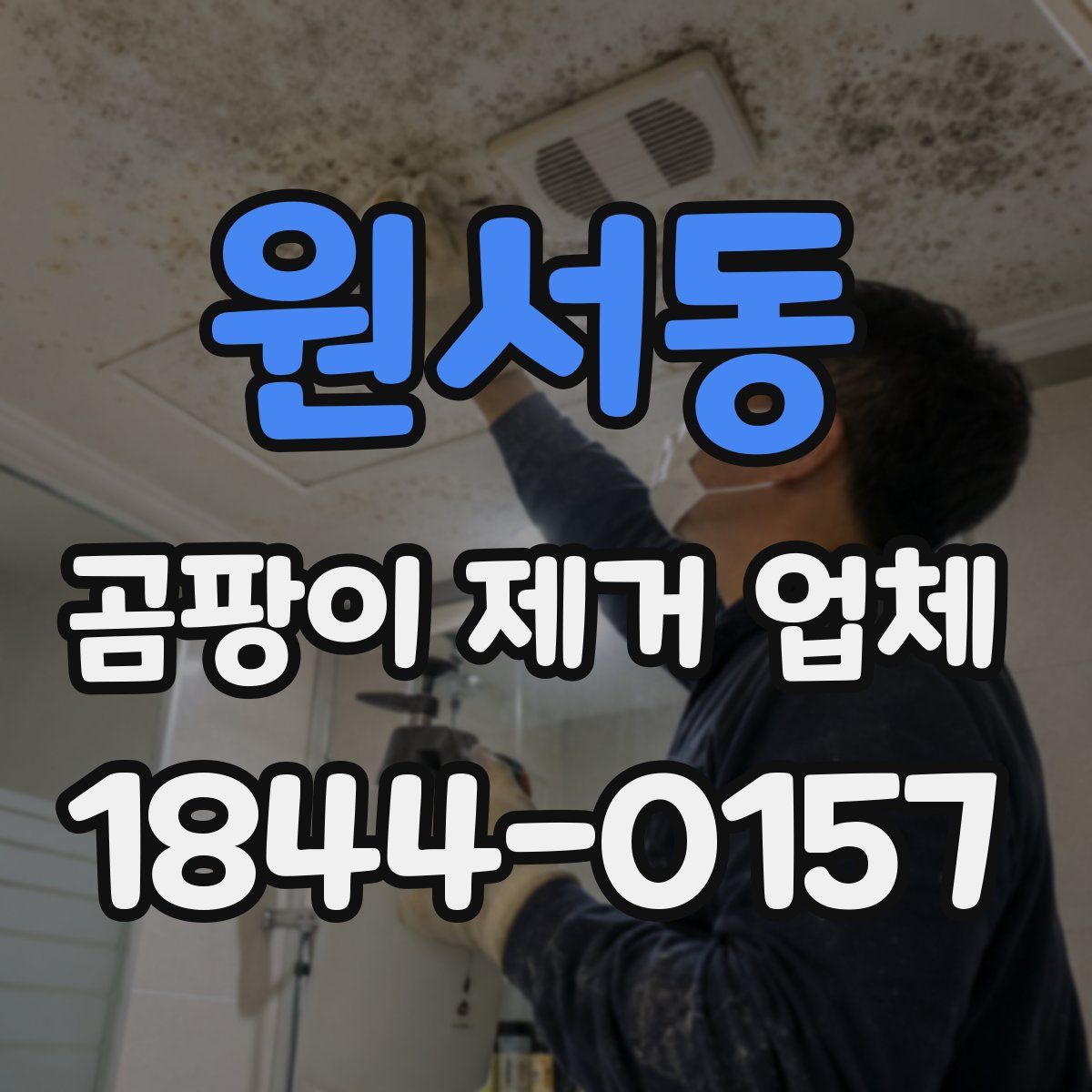 원서동 곰팡이 제거 업체