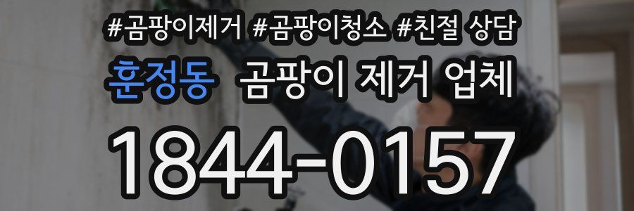 훈정동 곰팡이 제거 업체