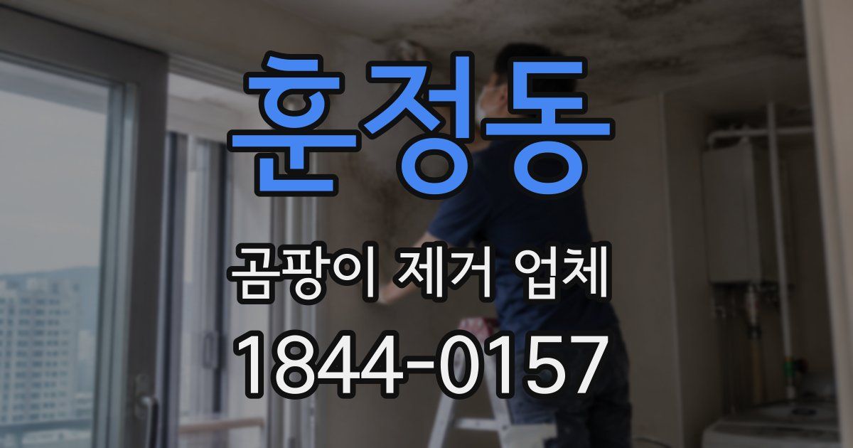훈정동 곰팡이 제거 업체