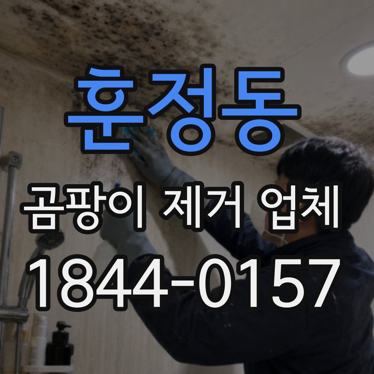훈정동 곰팡이 제거 업체