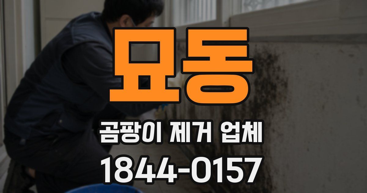묘동 곰팡이 제거 업체
