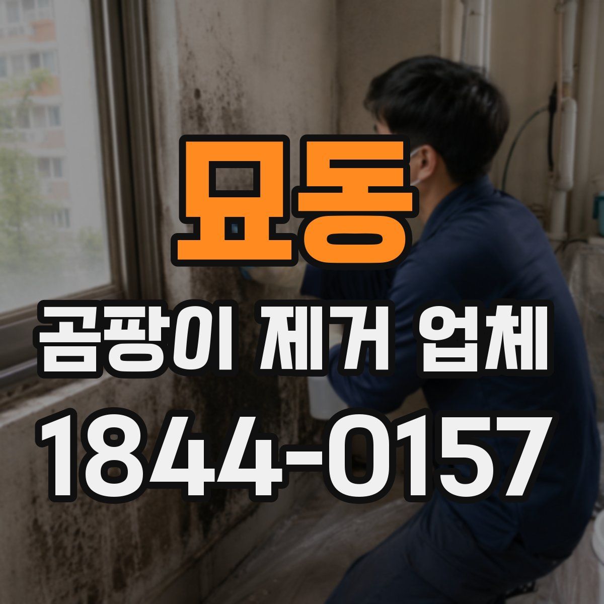 묘동 곰팡이 제거 업체