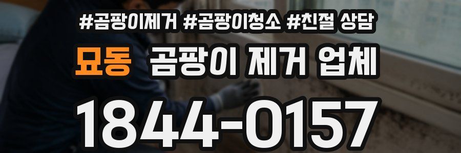묘동 곰팡이 제거 업체