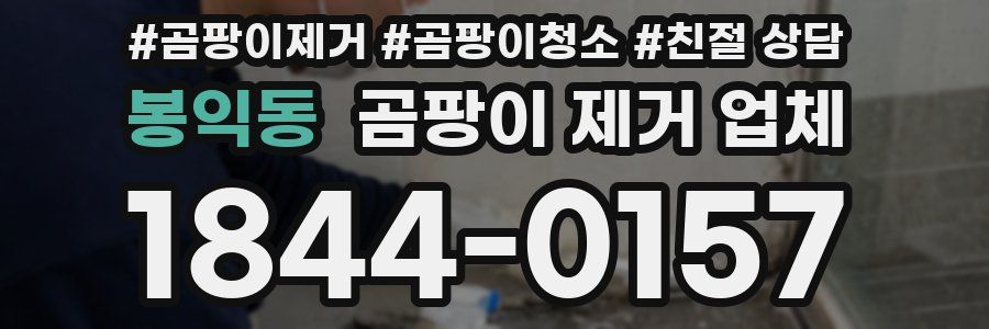 봉익동 곰팡이 제거 업체