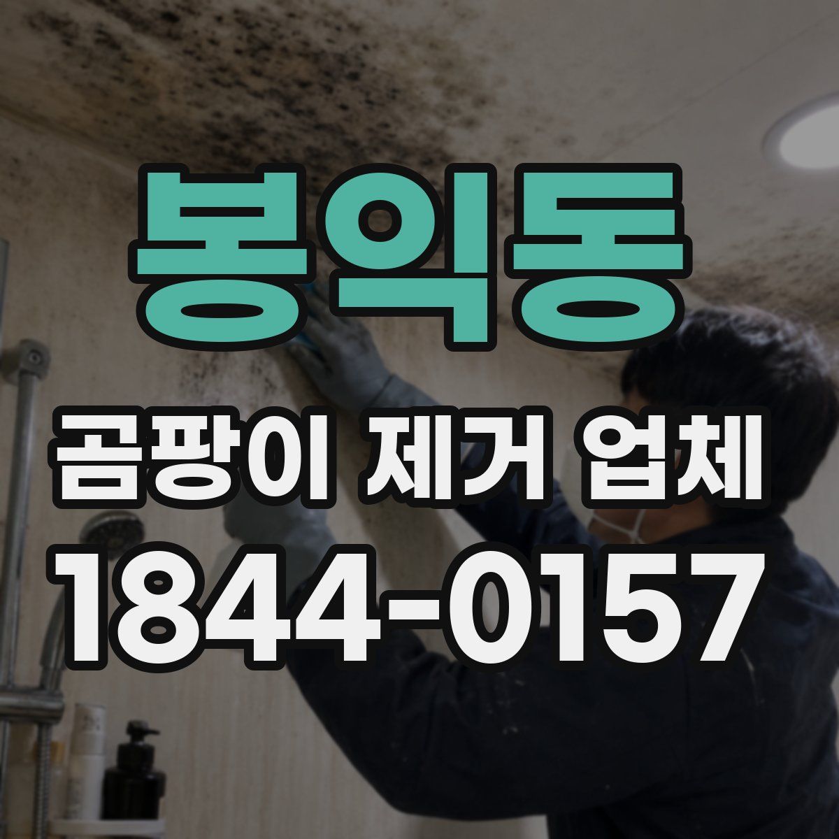 봉익동 곰팡이 제거 업체