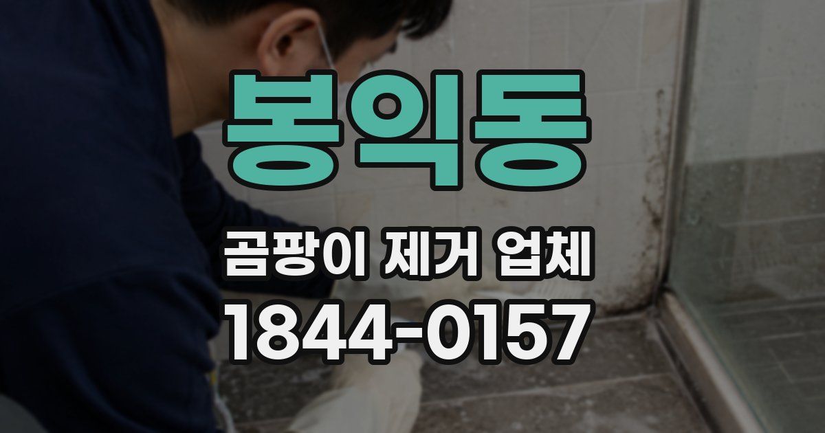 봉익동 곰팡이 제거 업체