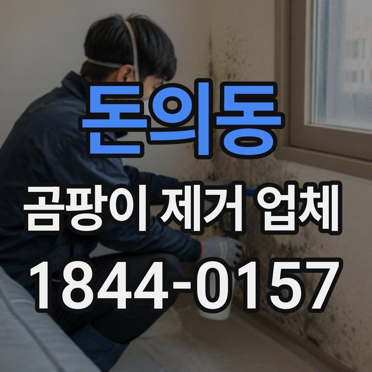 돈의동 곰팡이 제거 업체 이용 전후 관리 팁