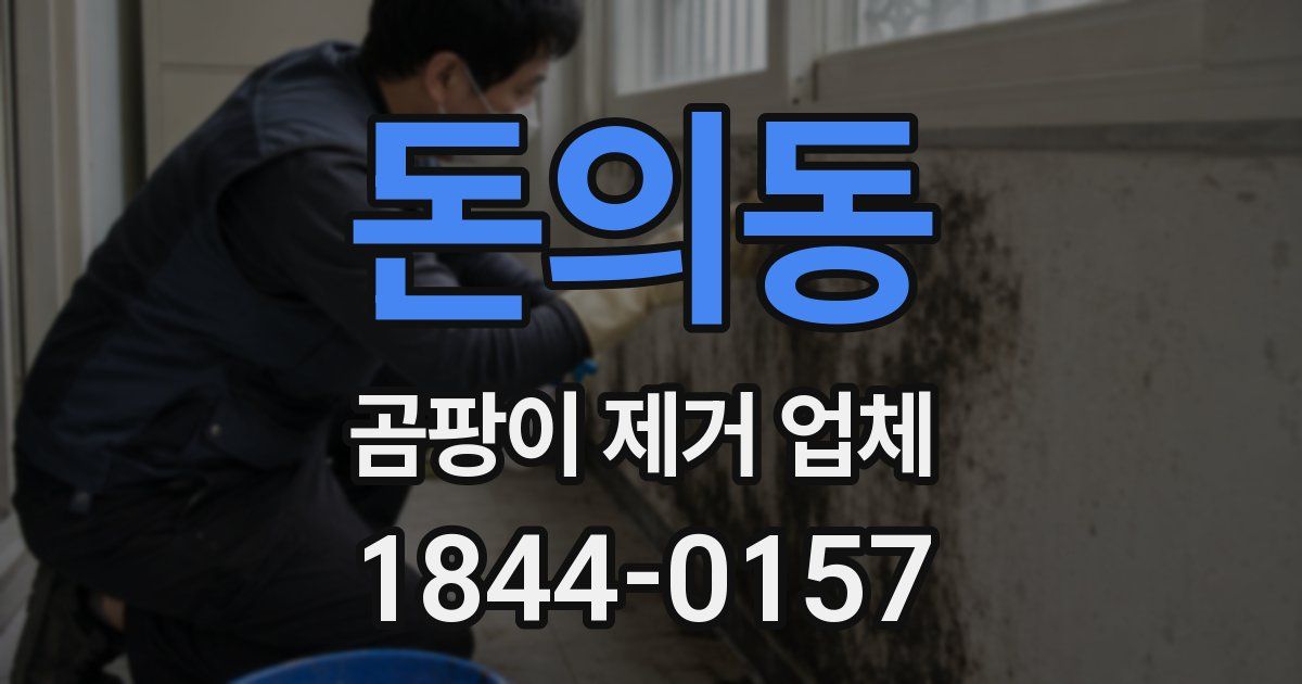 돈의동 곰팡이 제거 업체
