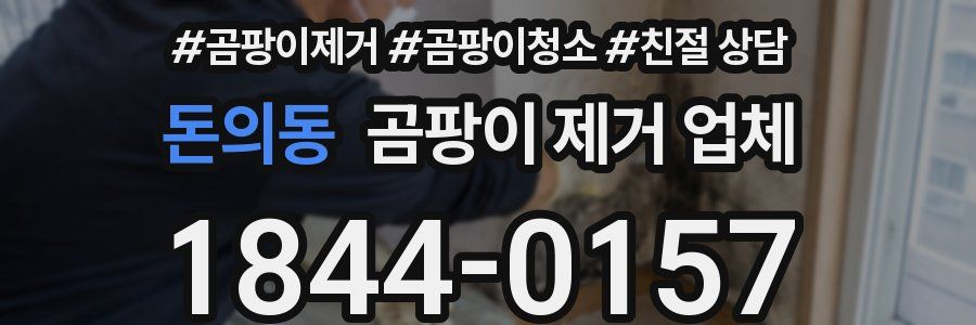돈의동 곰팡이 제거 업체