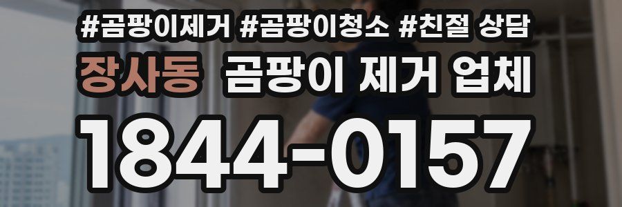 장사동 곰팡이 제거 업체