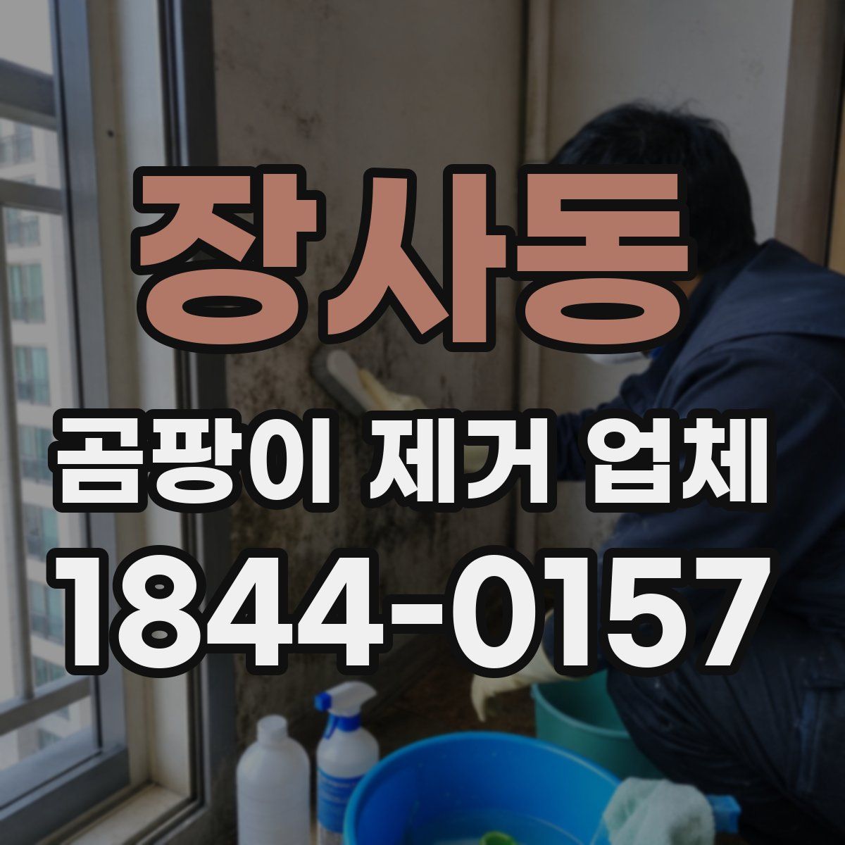 장사동 곰팡이 제거 업체