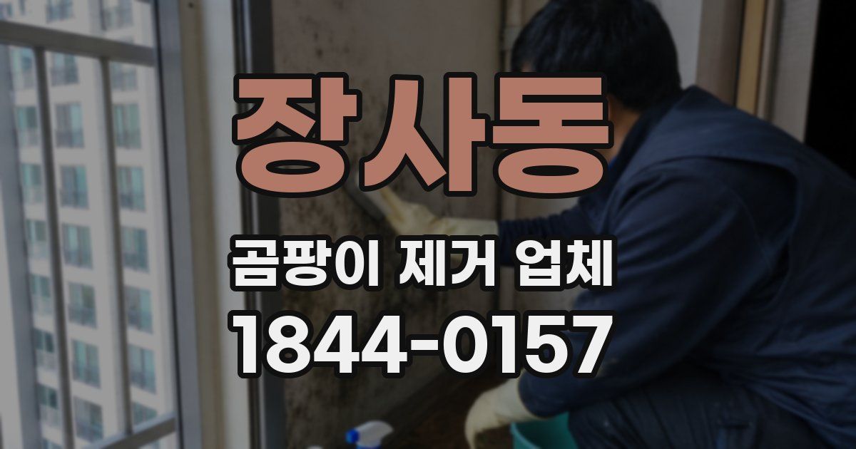 장사동 곰팡이 제거 업체