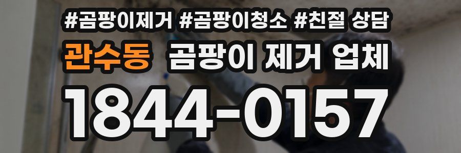 관수동 곰팡이 제거 업체