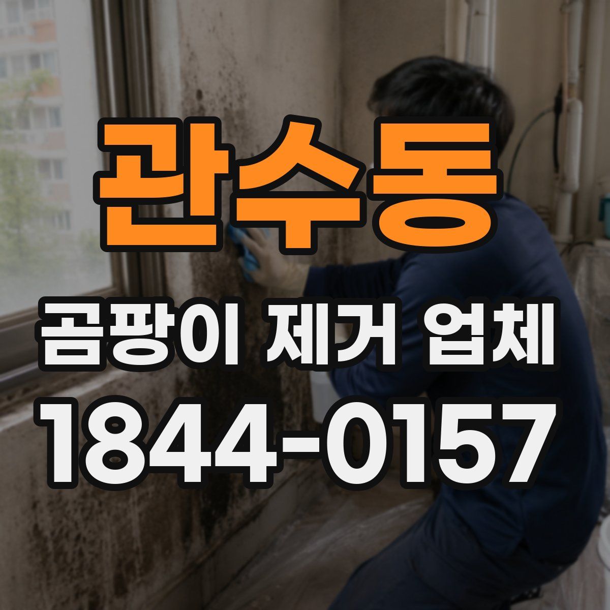 관수동 곰팡이 제거 업체