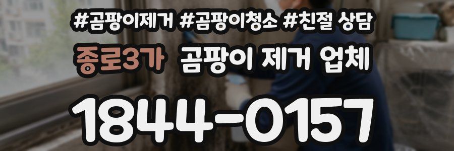 종로3가 곰팡이 제거 업체