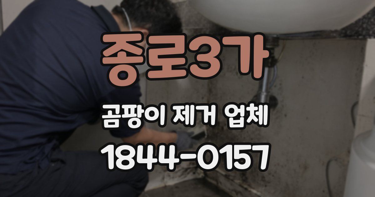 종로3가 곰팡이 제거 업체