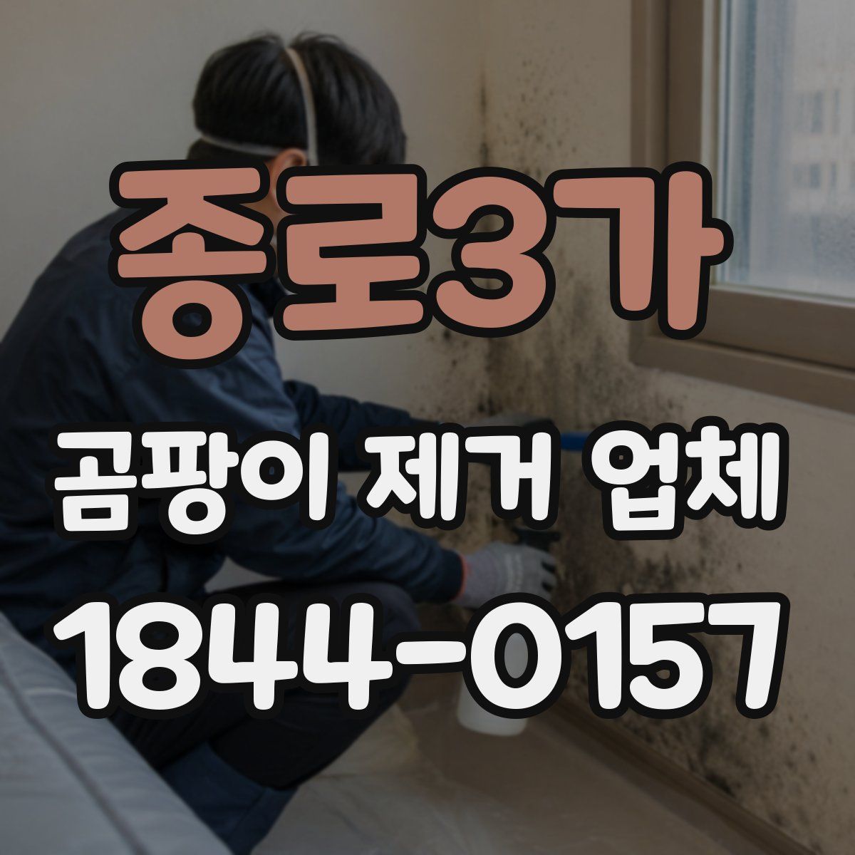 종로3가 곰팡이 제거 업체
