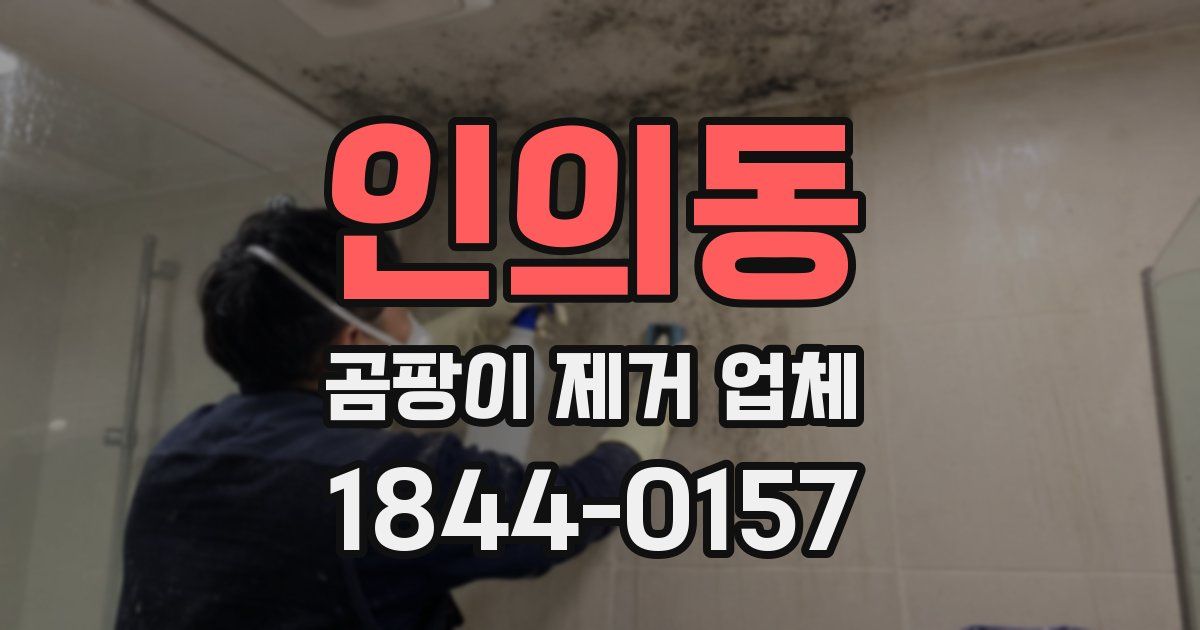 인의동 곰팡이 제거 업체