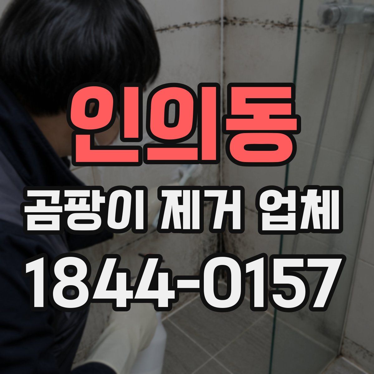 인의동 곰팡이 제거 업체