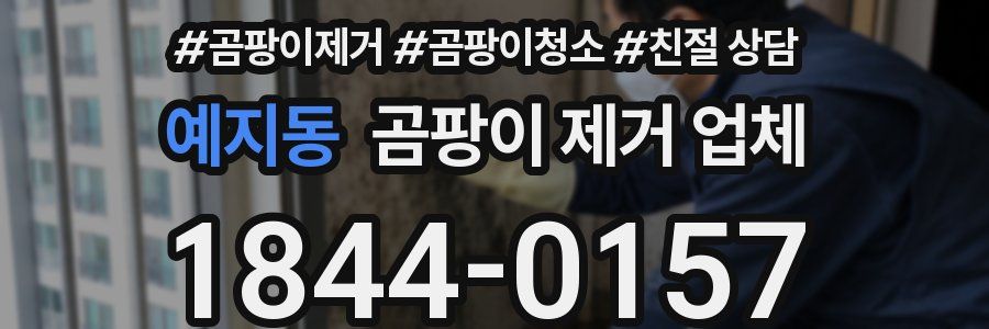 예지동 곰팡이 제거 업체