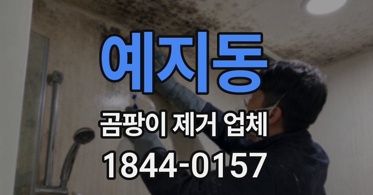 예지동 곰팡이 제거 업체