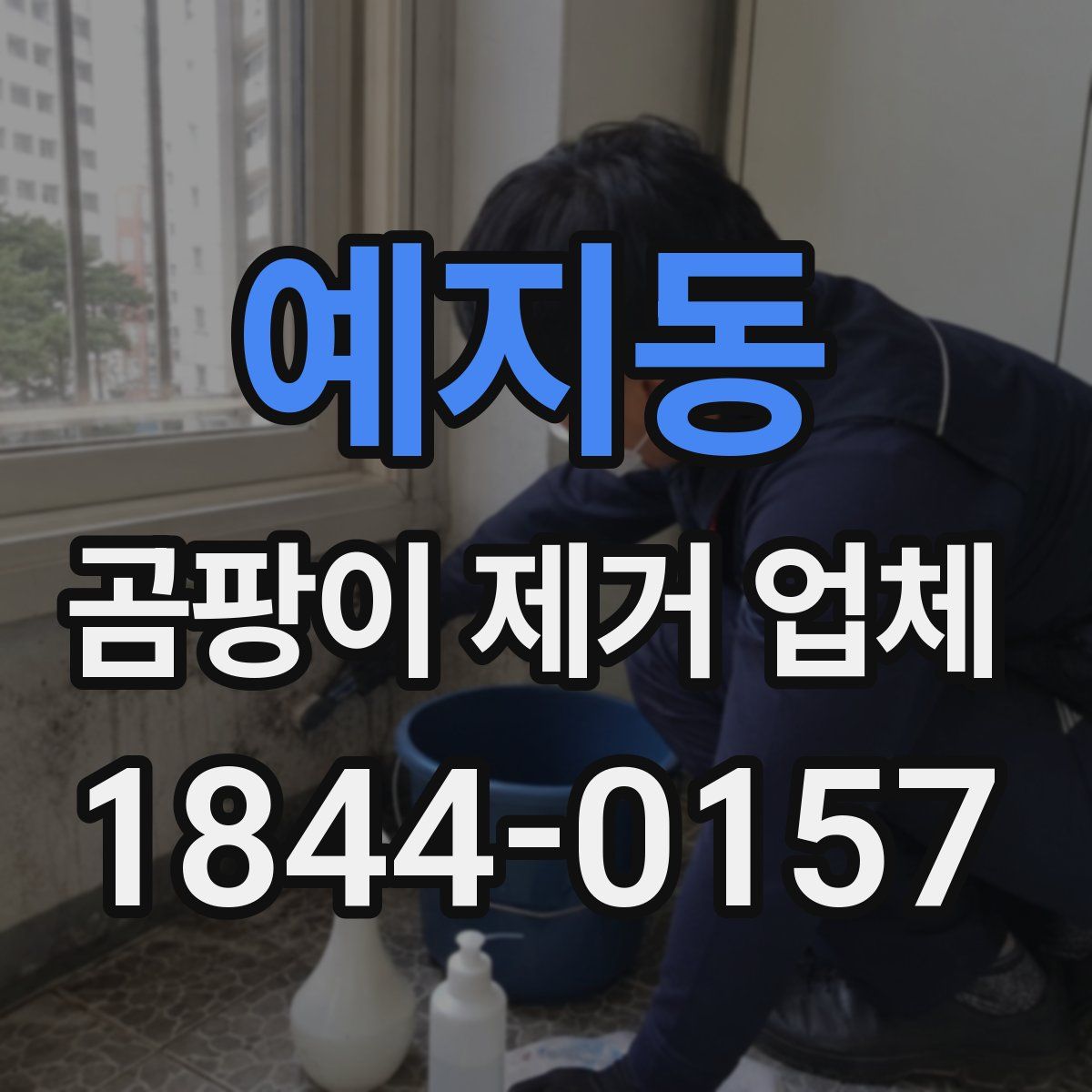 예지동 곰팡이 제거 업체