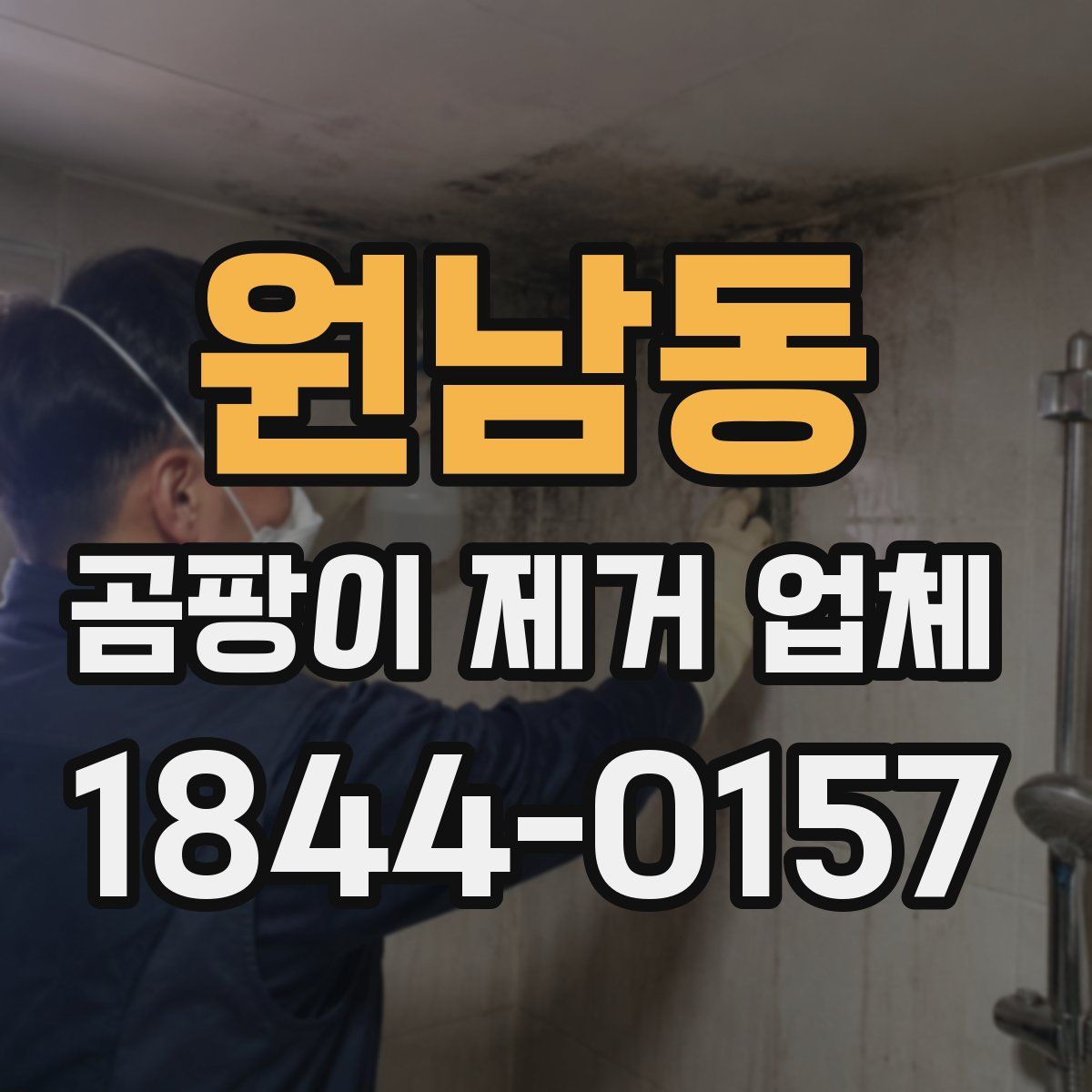 원남동 곰팡이 제거 업체