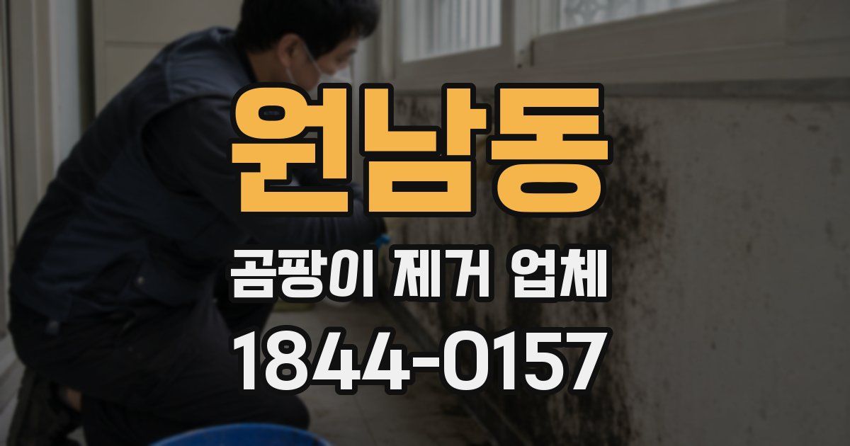 원남동 곰팡이 제거 업체