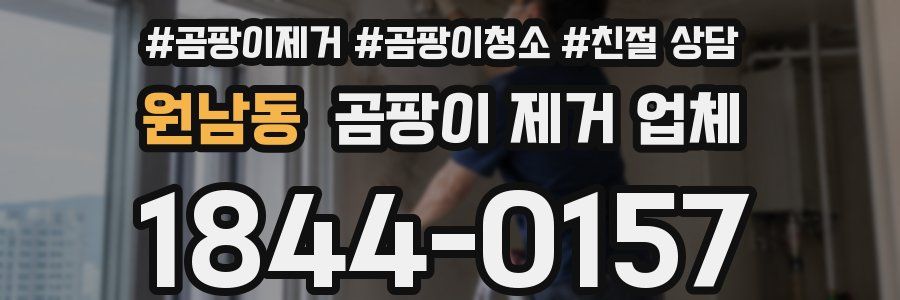 원남동 곰팡이 제거 업체
