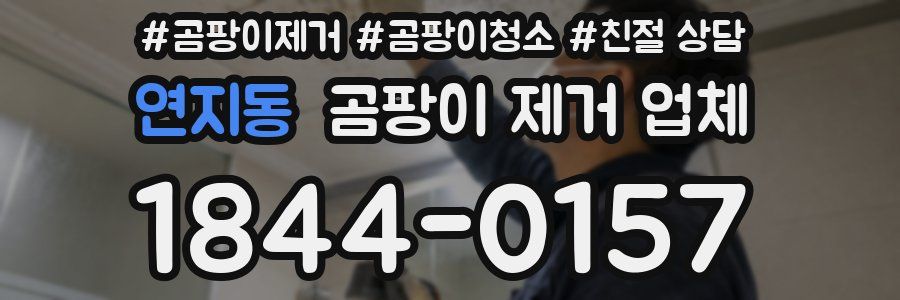 연지동 곰팡이 제거 업체