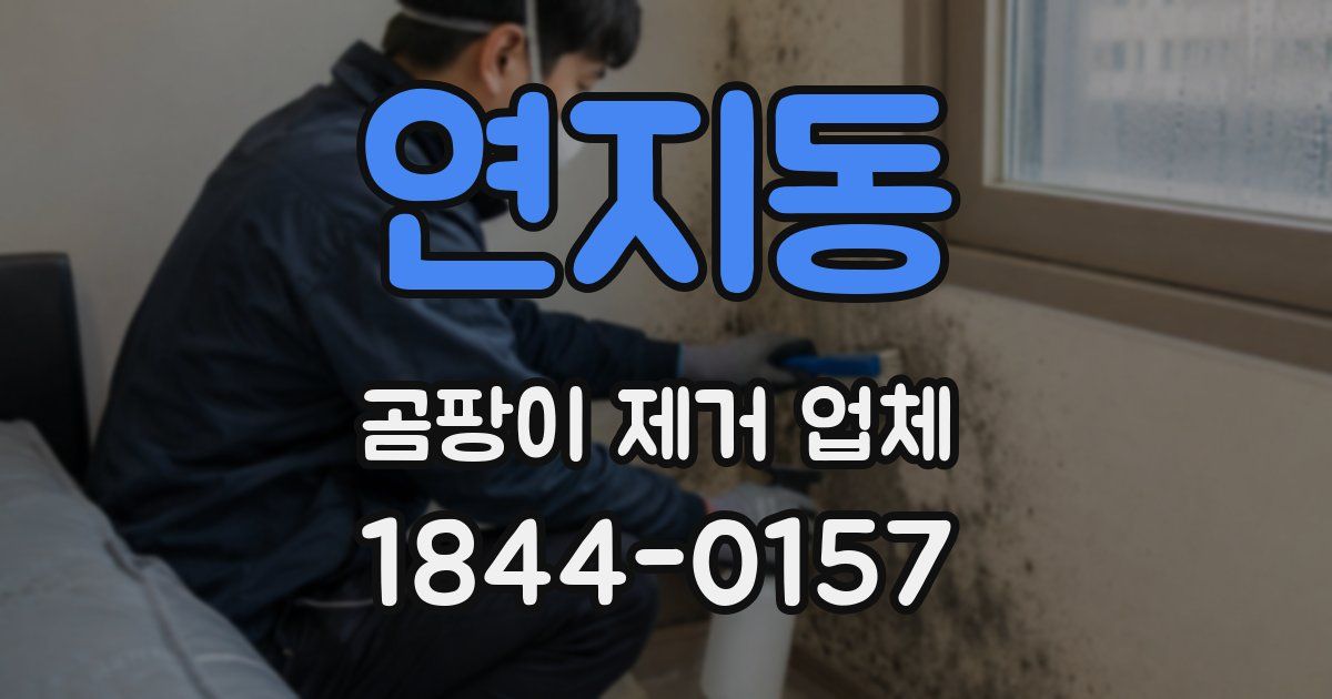 연지동 곰팡이 제거 업체