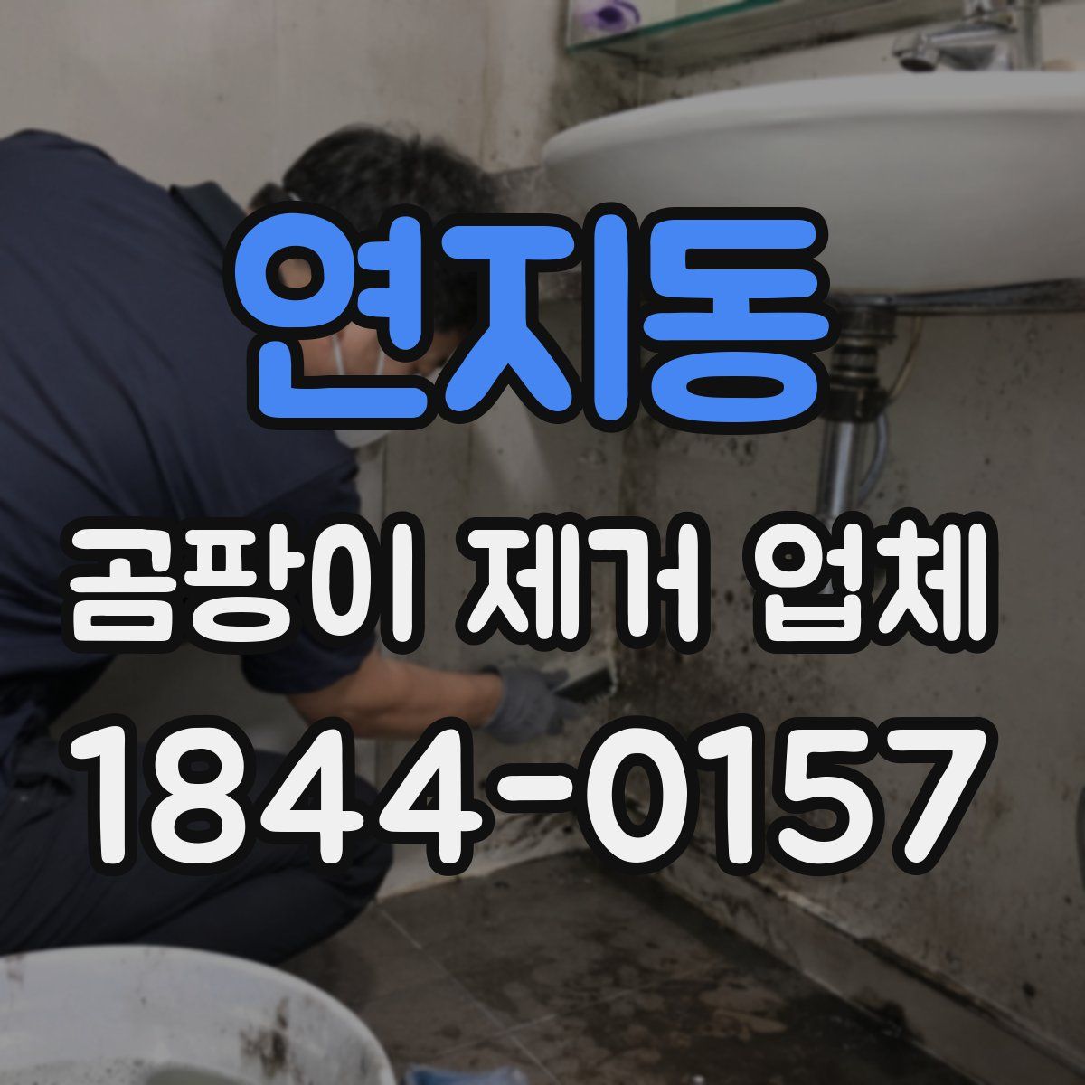 연지동 곰팡이 제거 업체