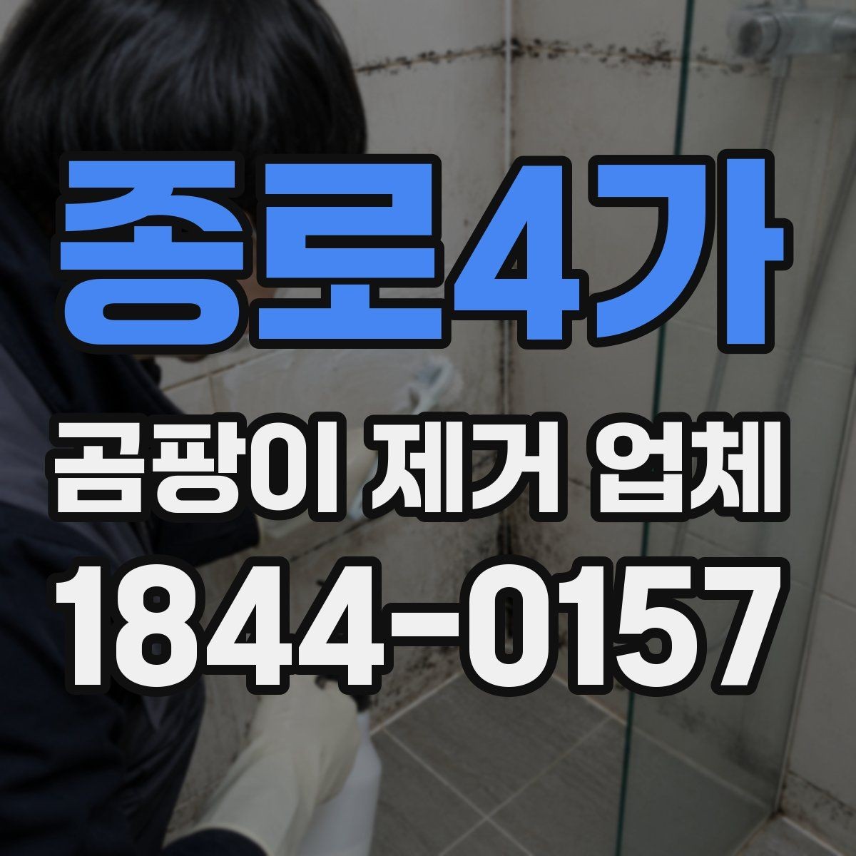 종로4가 곰팡이 제거 업체 견적 비교 시 빠뜨리기 쉬운 항목