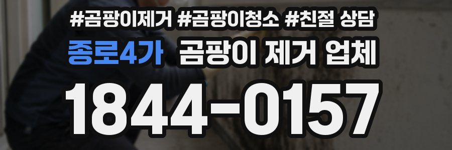 종로4가 곰팡이 제거 업체