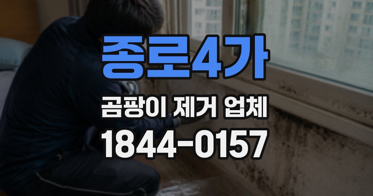 종로4가 곰팡이 제거 업체