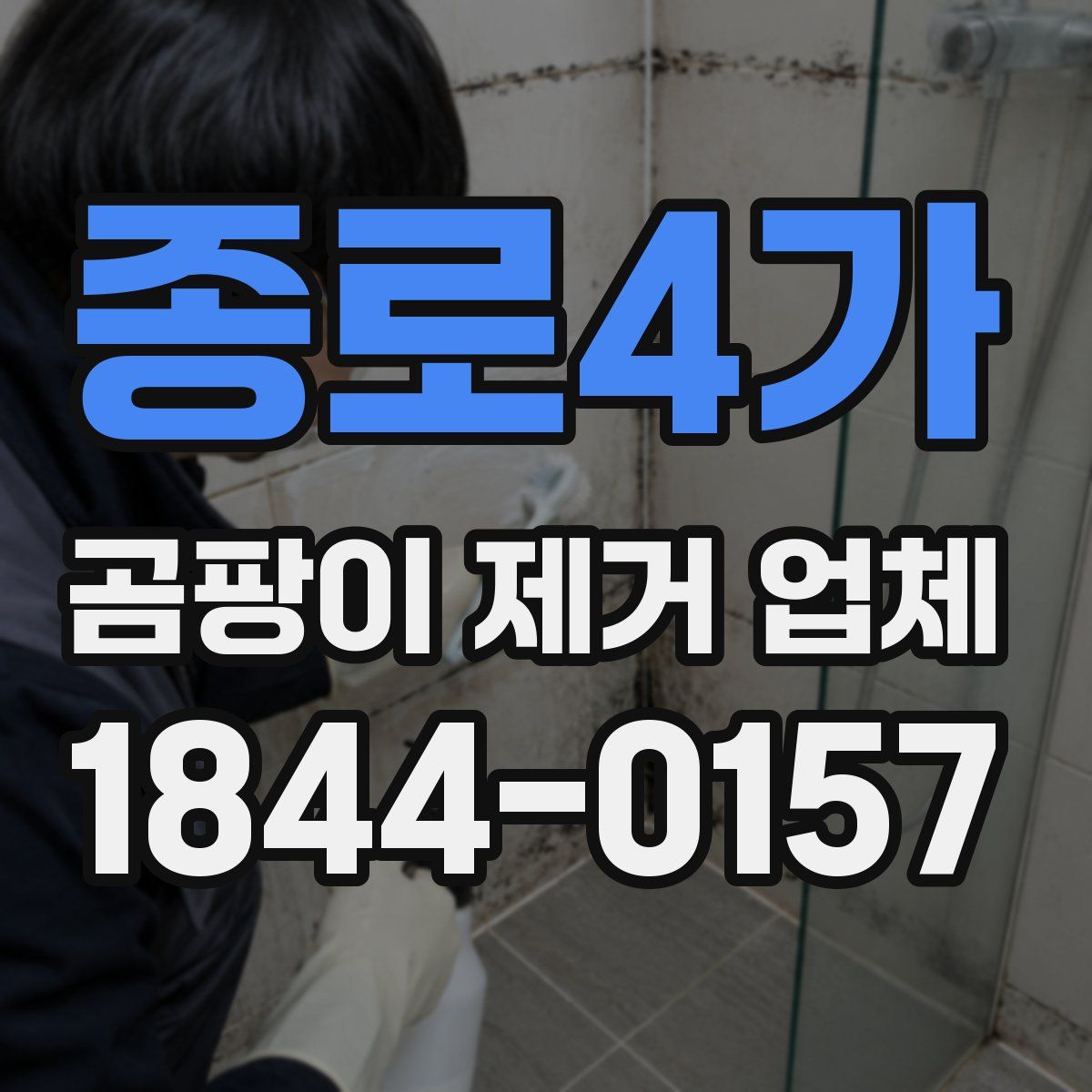 종로4가 곰팡이 제거 업체