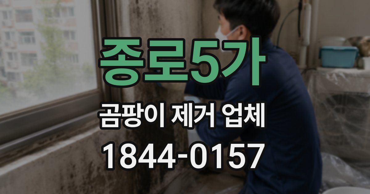 종로5가 곰팡이 제거 업체