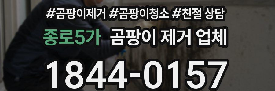 종로5가 곰팡이 제거 업체