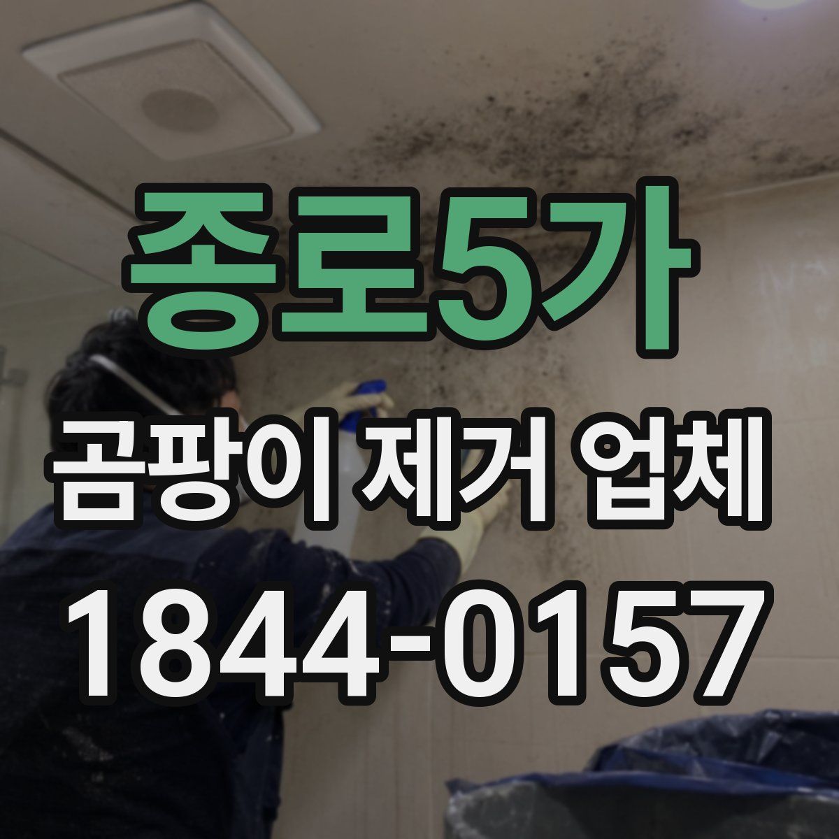 종로5가 곰팡이 제거 업체