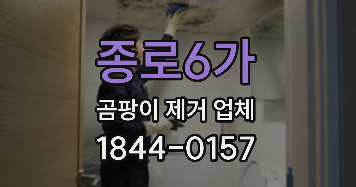 종로6가 곰팡이 제거 업체